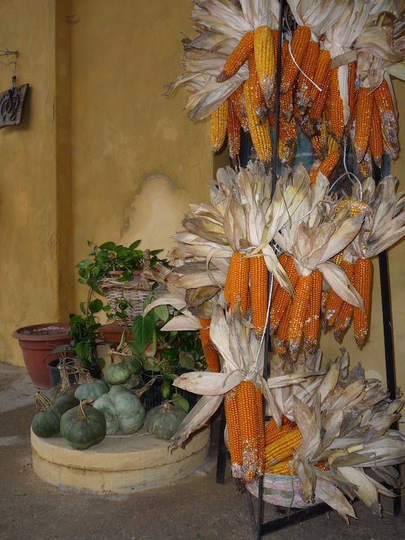 L'Adele Bed & Breakfast Occimiano Exterior photo